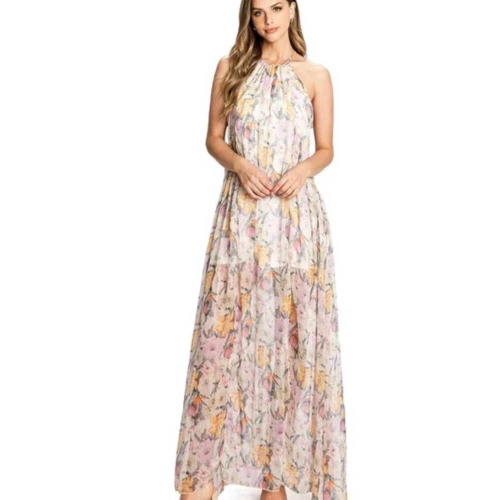 Aakaa Women’s Sheer Floral Halter Chiffon A-Line Maxi ~ feminine, fairy, sz M